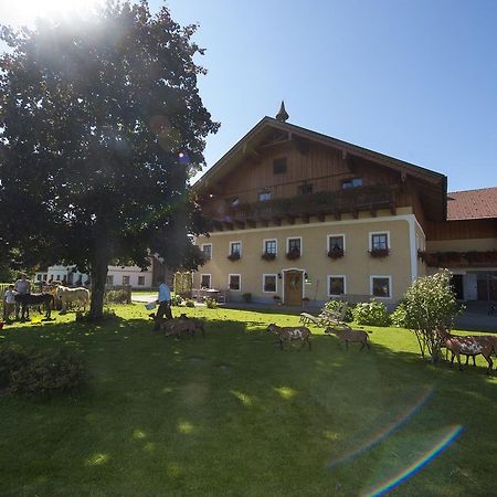 Kinderparadies Bachbauer Villa Mondsee Ngoại thất bức ảnh